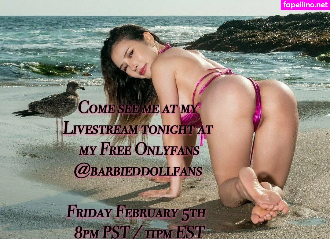 Barbieddoll