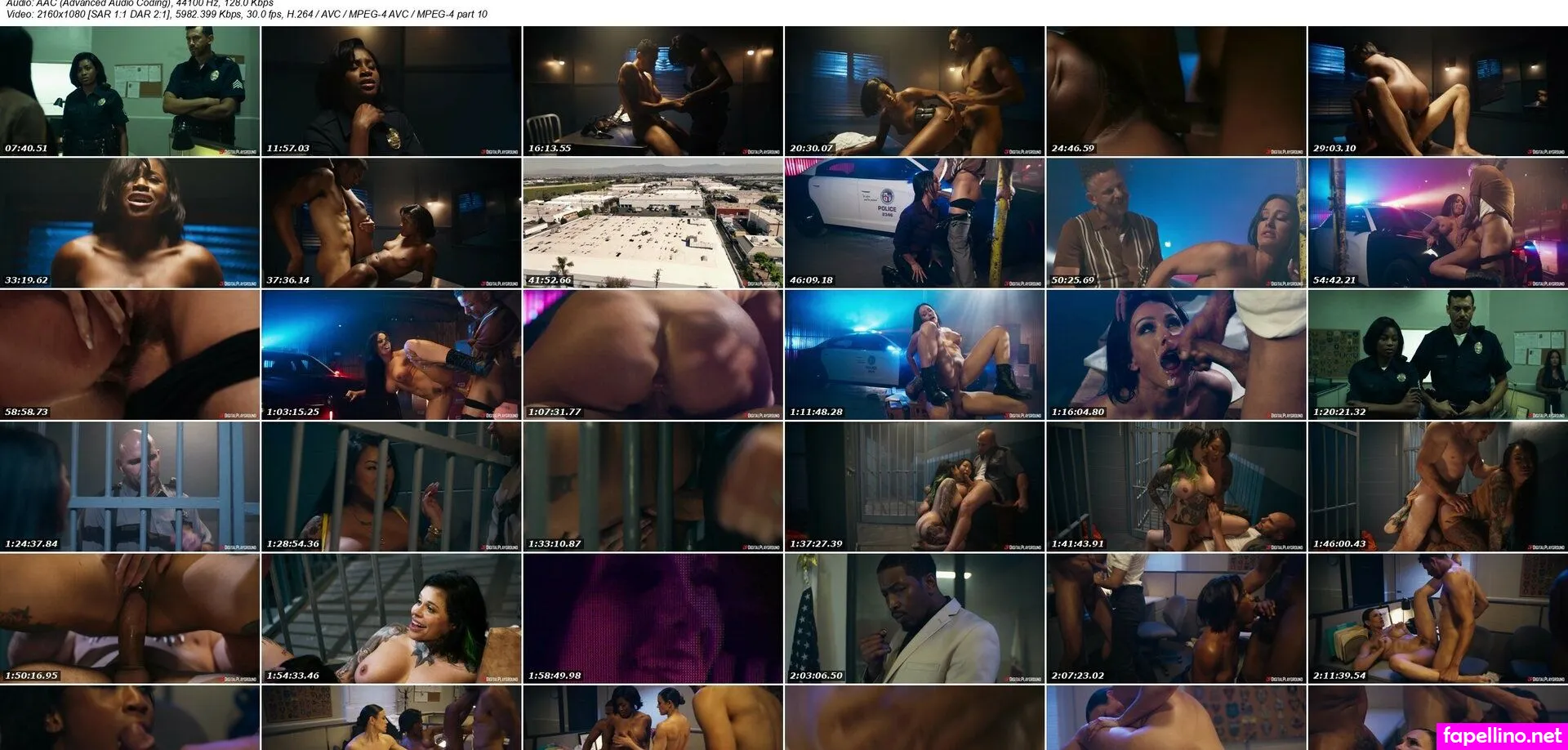 Digital Playground And Adult Movies Dvd