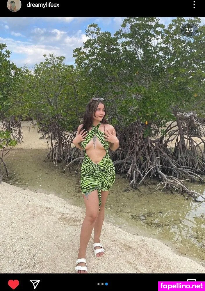 Dreamylifeex