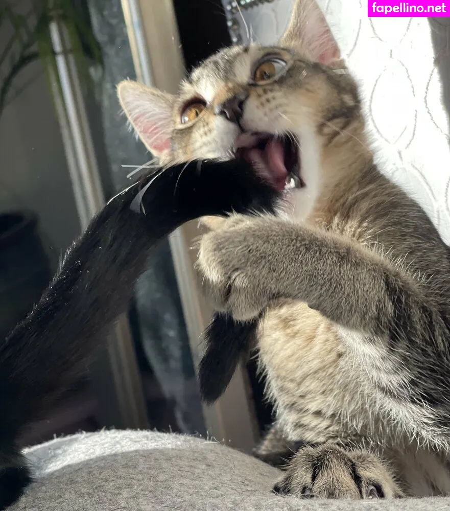 Evparrishsouthernmil