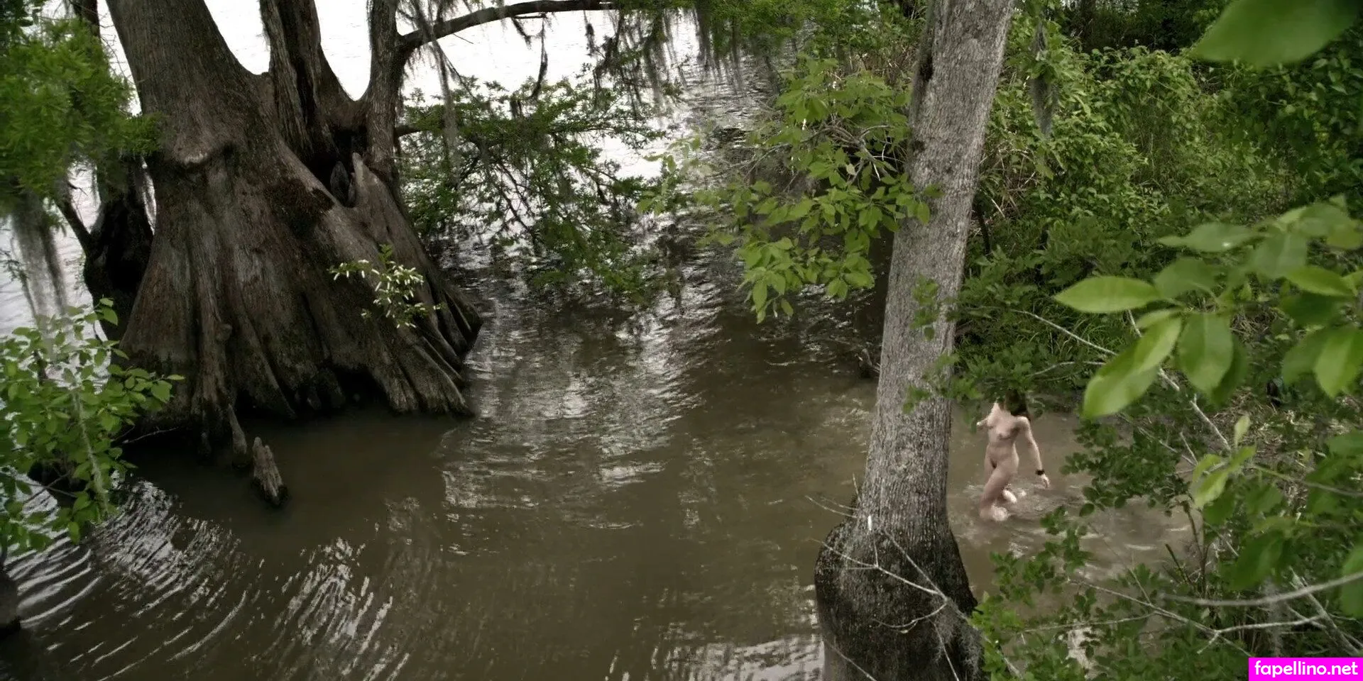 Jennifer Lynn Warren