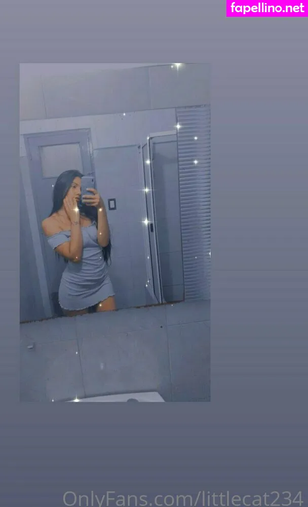 Littlecat234