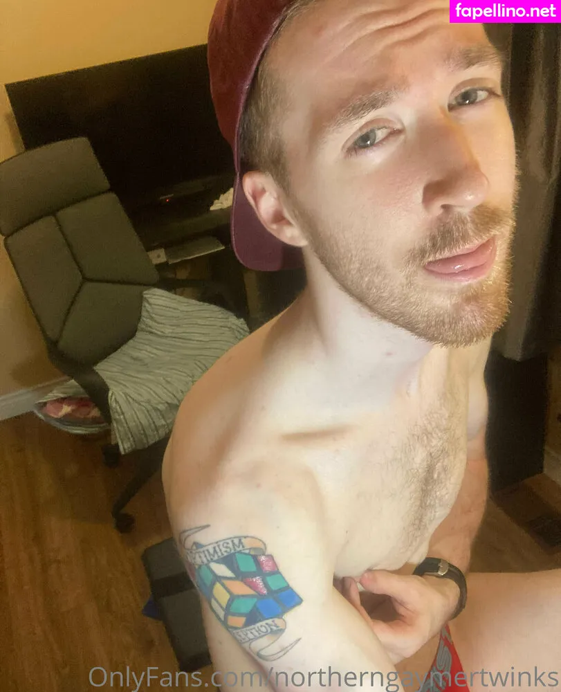 Northerngaymertwinks