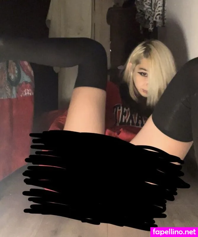 Perodanniporlachucha