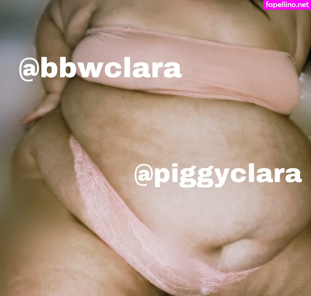Piggyclara