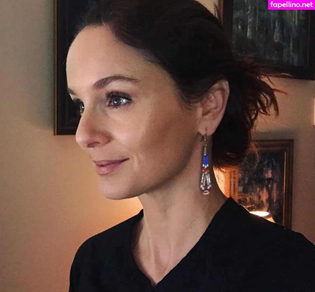 Sarah Wayne Callies