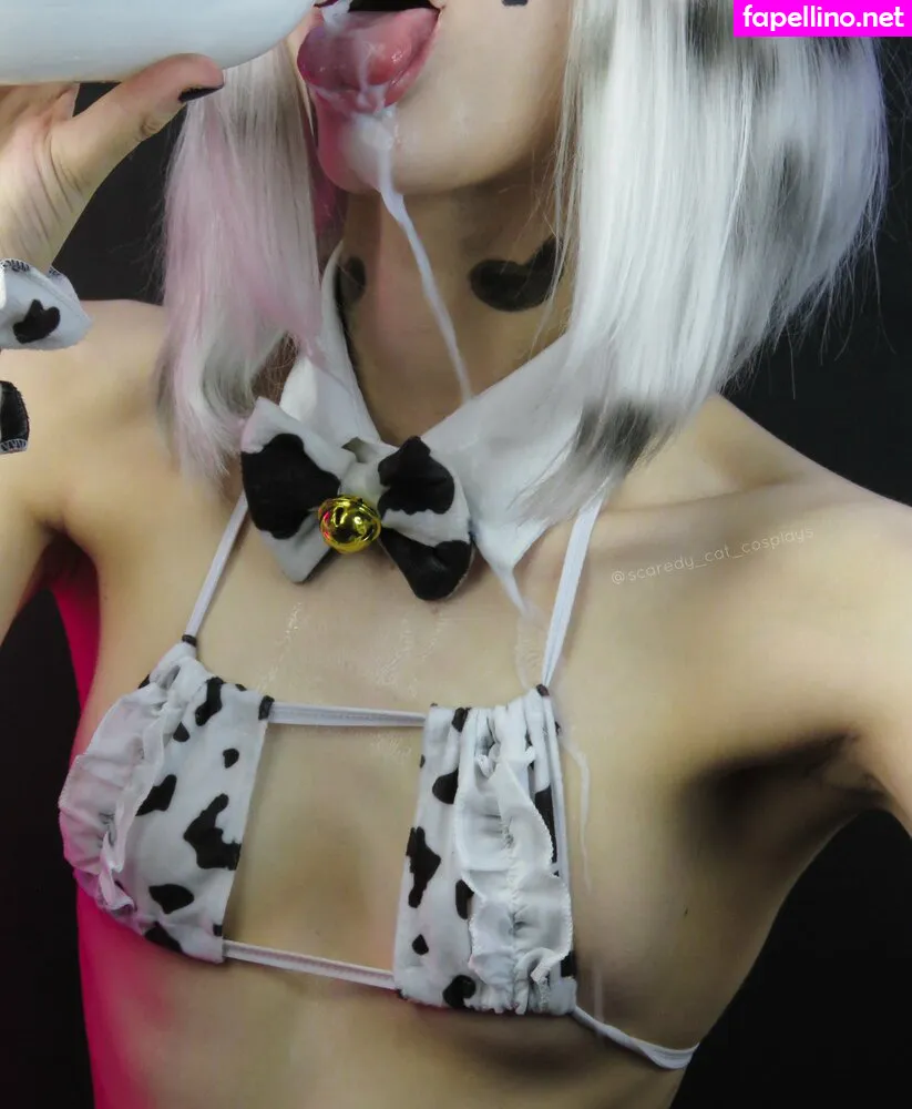 Scaredy Cat Cosplays