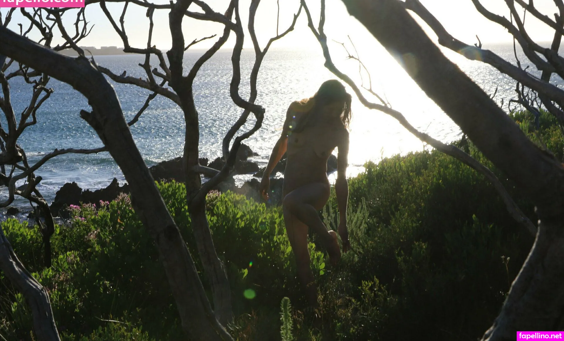 Searching4eden 4free