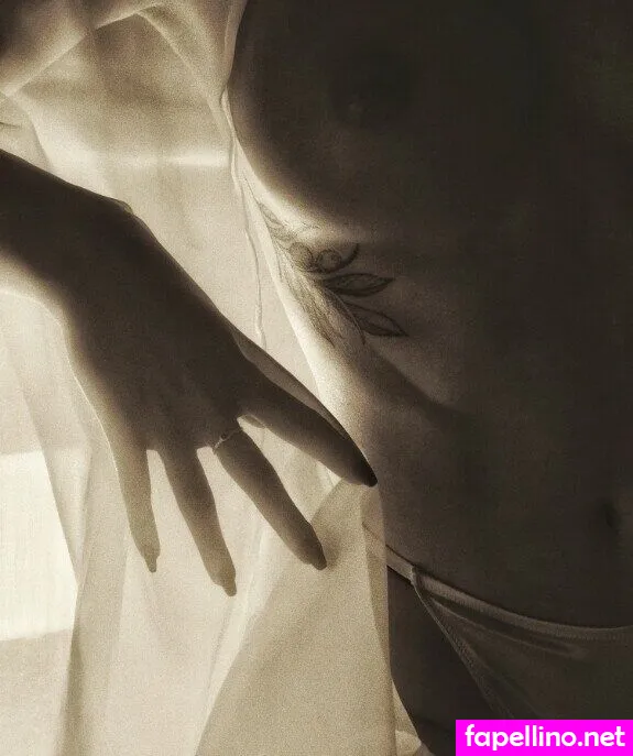 Slowpenguin Sweetpengui