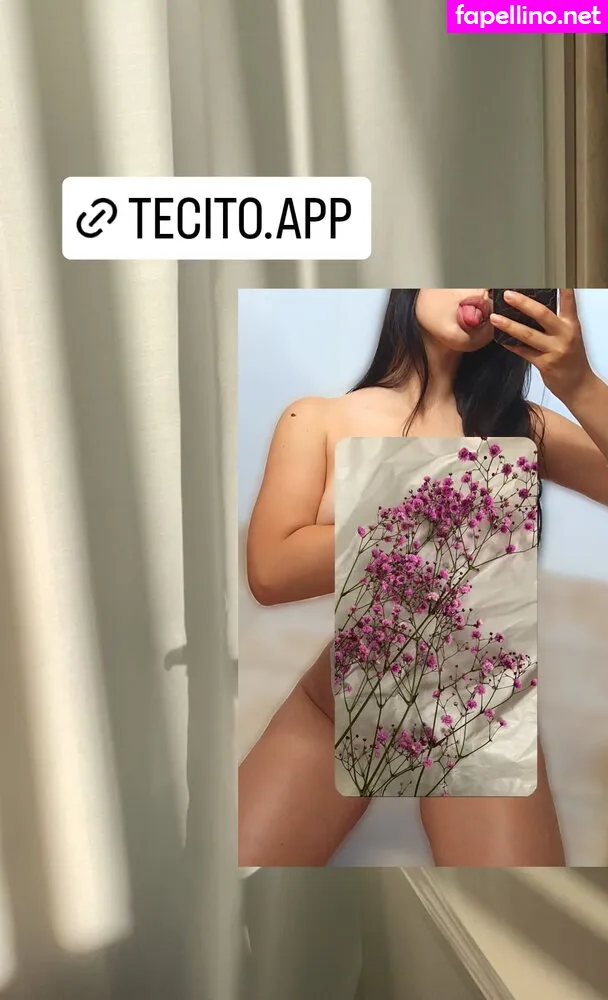 Tecito App