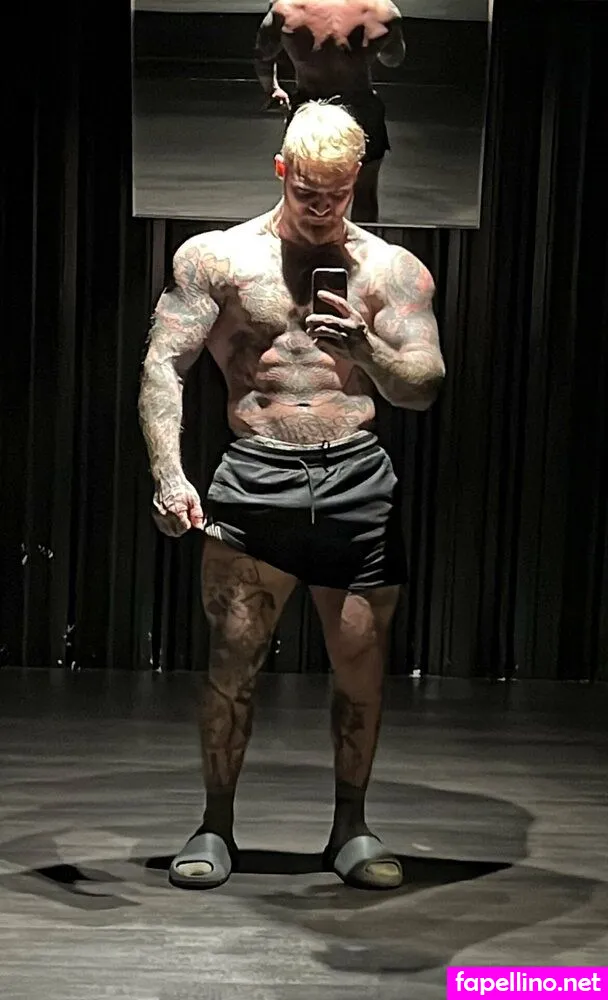 Therealvanillagorilla