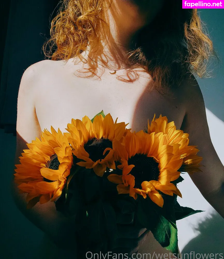 Wetsunflowers